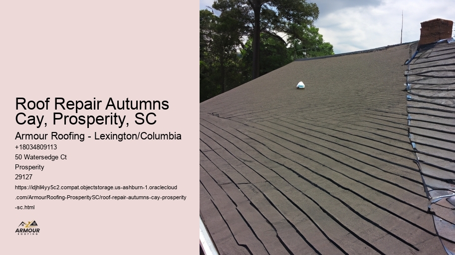 Roof Repair Autumns Cay, Prosperity, SC
