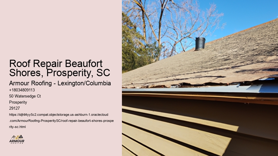 Roof Repair Beaufort Shores, Prosperity, SC