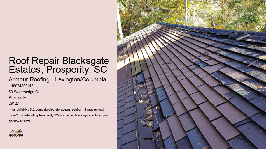 Roof Repair Blacksgate Estates, Prosperity, SC