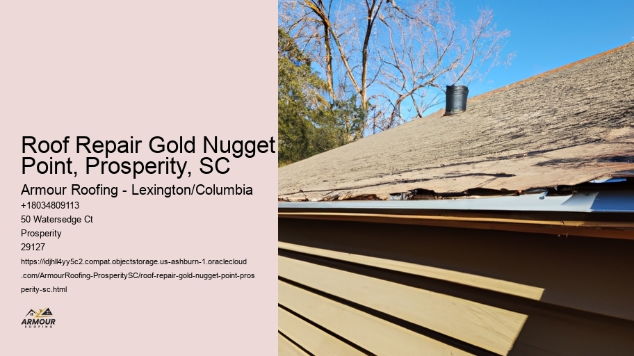 Roof Repair Gold Nugget Point, Prosperity, SC