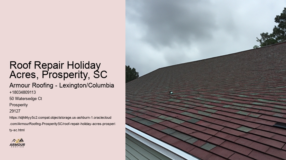 Roof Repair Holiday Acres, Prosperity, SC