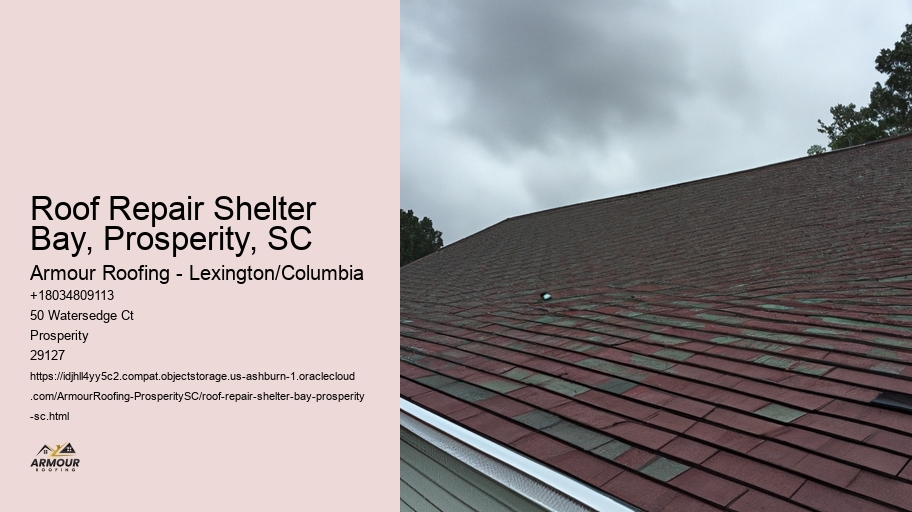 Roof Repair Shelter Bay, Prosperity, SC