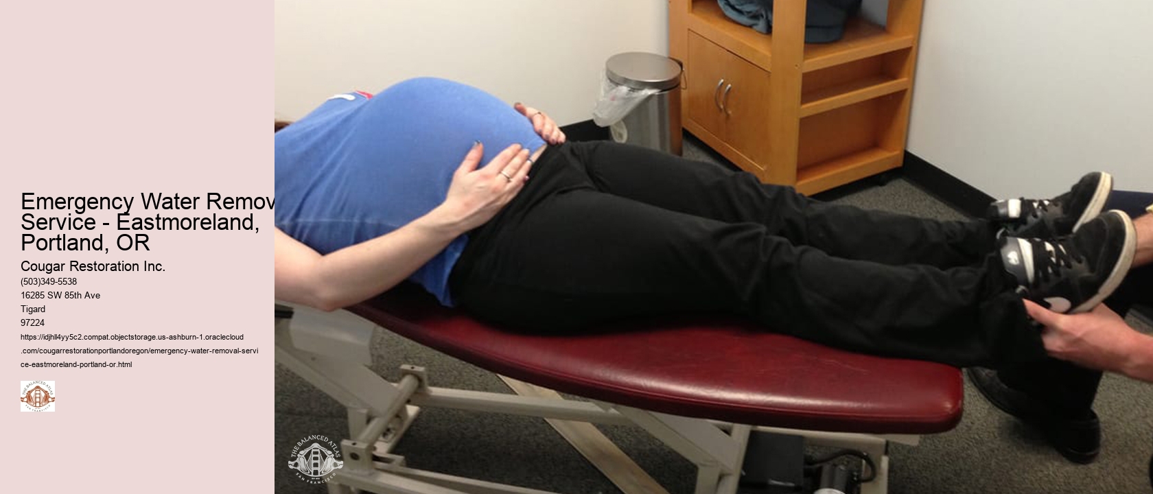 Emergency Water Removal Service - Eastmoreland, Portland, OR