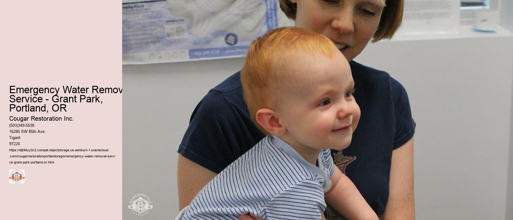 Emergency Water Removal Service - Grant Park, Portland, OR