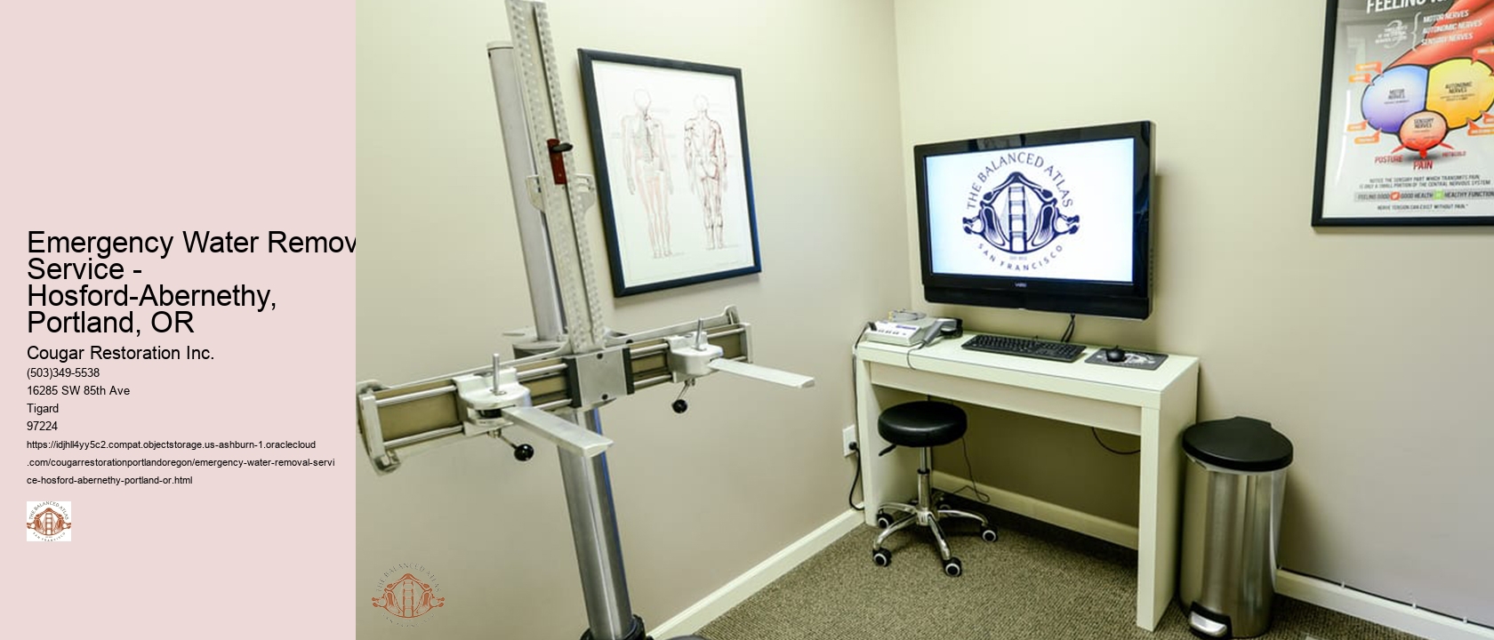 Emergency Water Removal Service - Hosford-Abernethy, Portland, OR