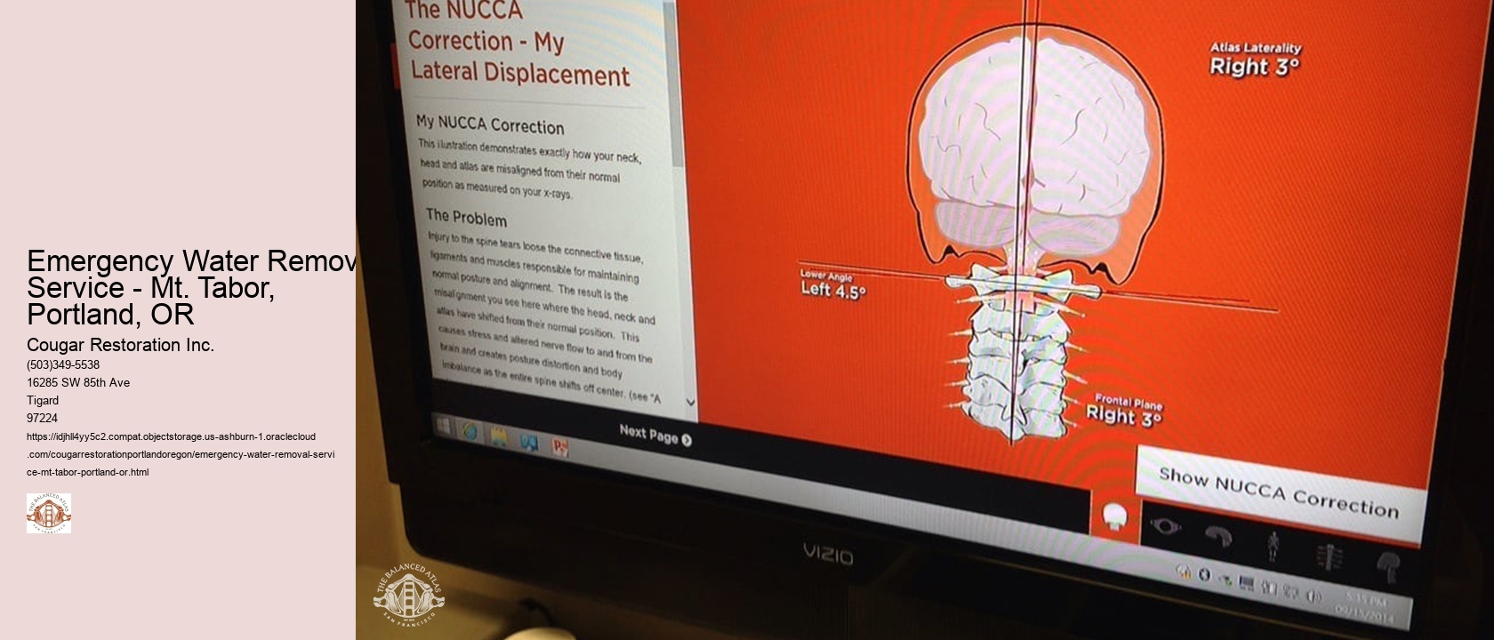 Emergency Water Removal Service - Mt. Tabor, Portland, OR