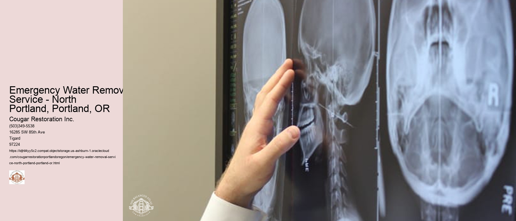 Emergency Water Removal Service - North Portland, Portland, OR