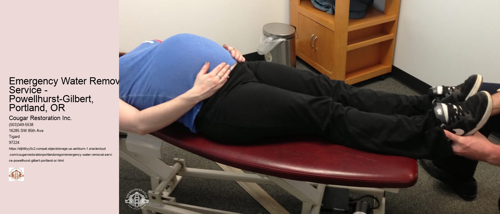 Emergency Water Removal Service - Powellhurst-Gilbert, Portland, OR