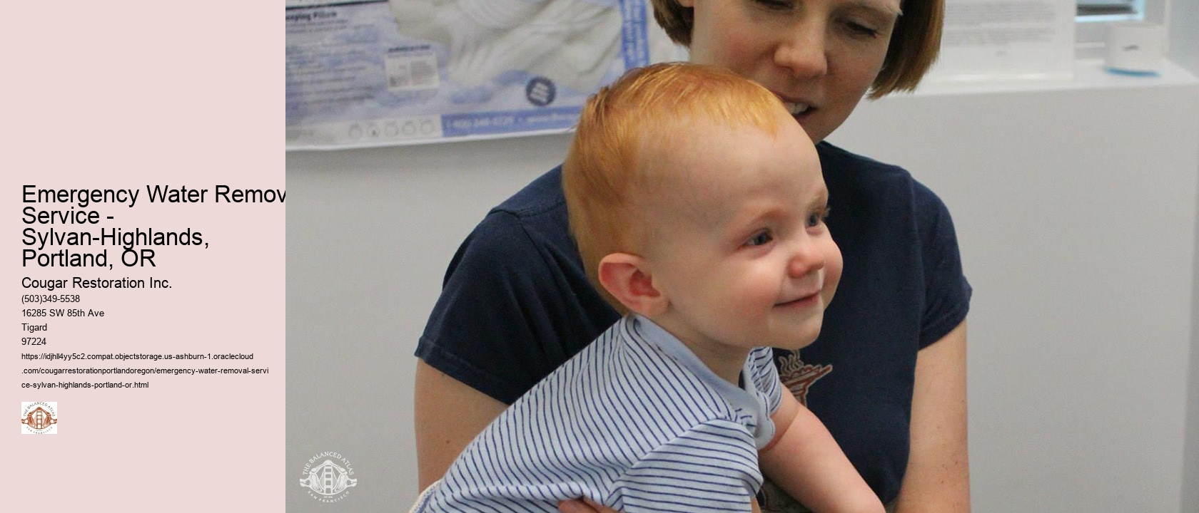 Emergency Water Removal Service - Sylvan-Highlands, Portland, OR