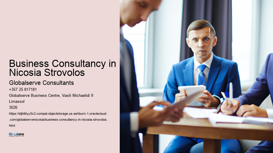 Business Consultancy in Nicosia Strovolos