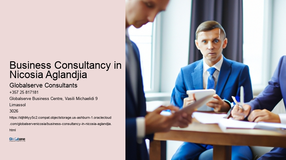 Business Consultancy in Nicosia Aglandjia