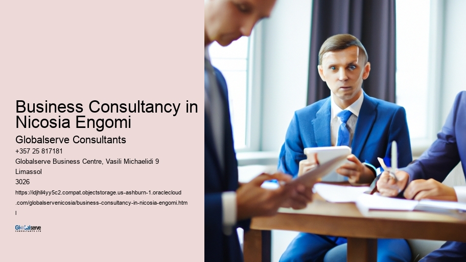 Business Consultancy in Nicosia Engomi