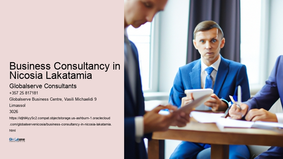 Business Consultancy in Nicosia Lakatamia