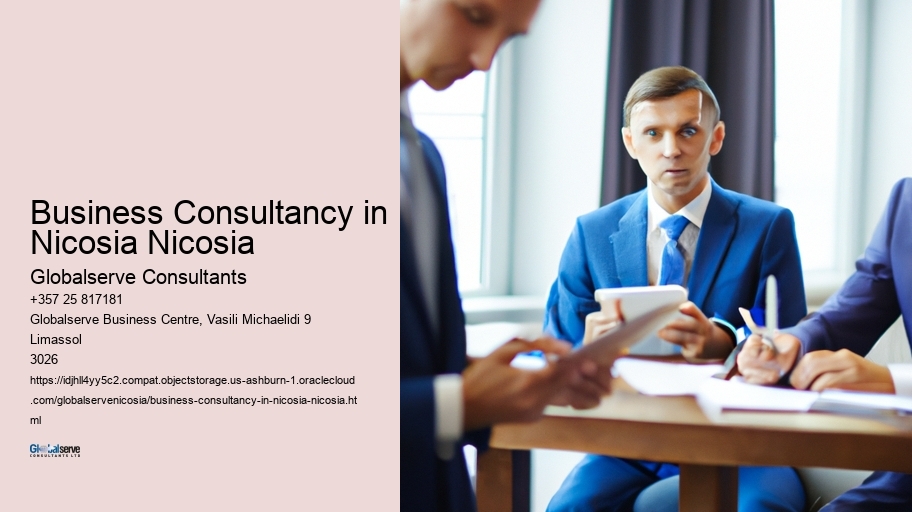 Business Consultancy in Nicosia Nicosia