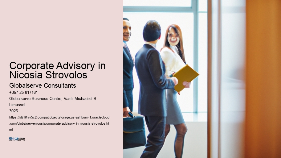 Corporate Advisory in Nicosia Strovolos