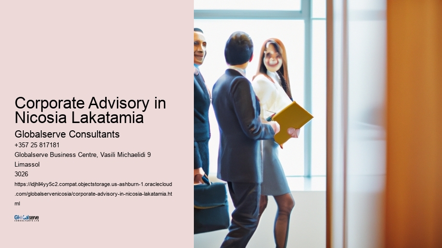 Corporate Advisory in Nicosia Lakatamia