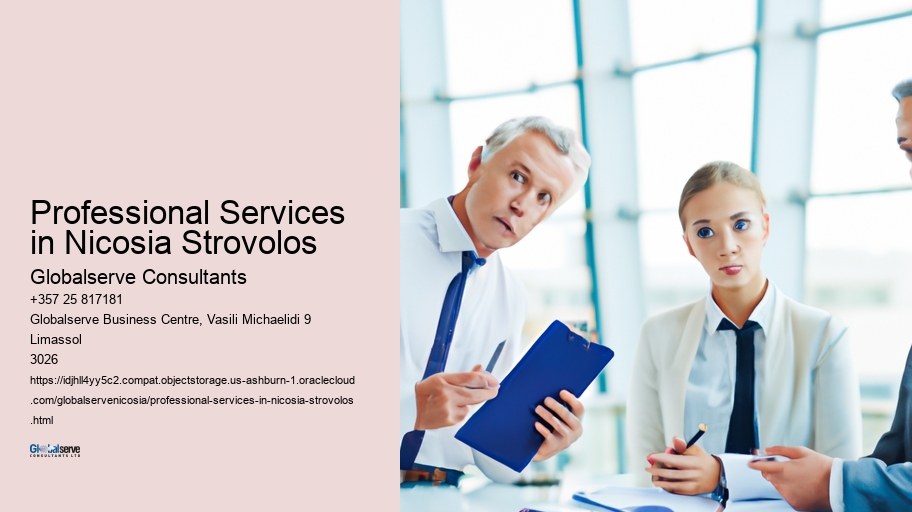 Professional Services in Nicosia Strovolos