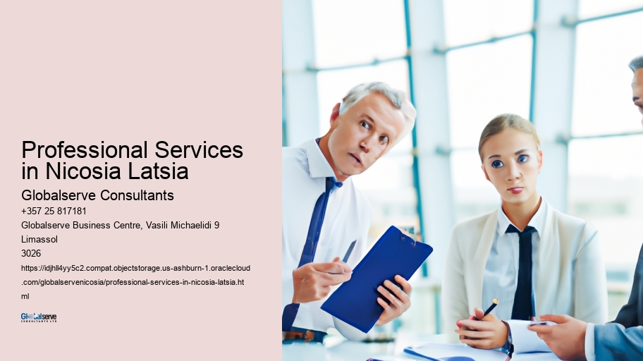 Professional Services in Nicosia Latsia