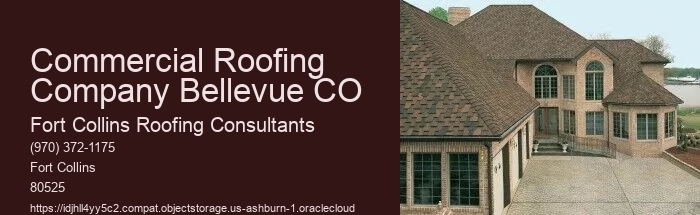 Commercial Roofing Company Bellevue CO
