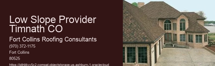 Low Slope Provider Timnath CO