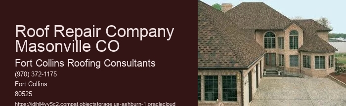 Roof Repair Company Masonville CO